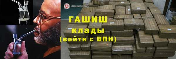 индика Няндома