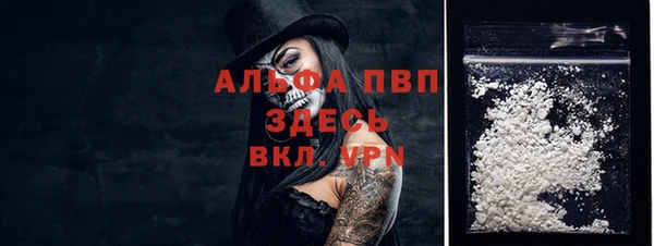 индика Няндома