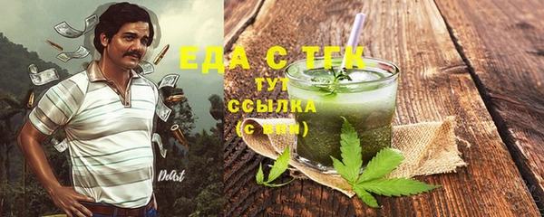 индика Няндома