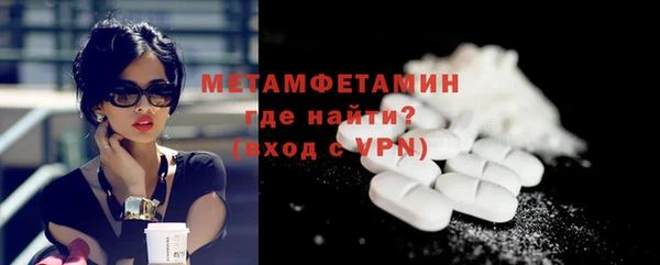индика Няндома