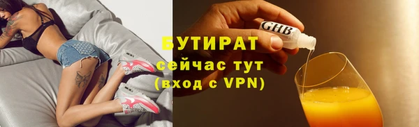 индика Няндома