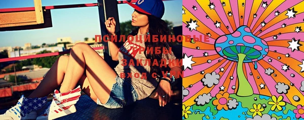 индика Няндома
