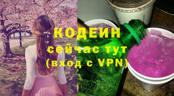 индика Няндома