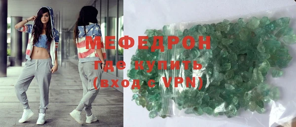 индика Няндома